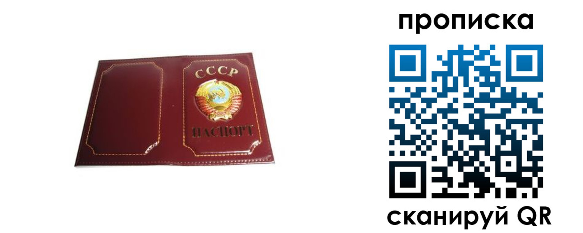прописка гарантия в Фрязино